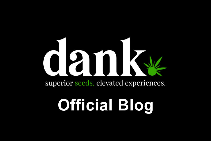 Dank Seeds Blog