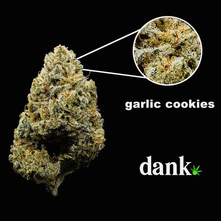 Garlic Cookies 2.0 • NEW Re-Release!