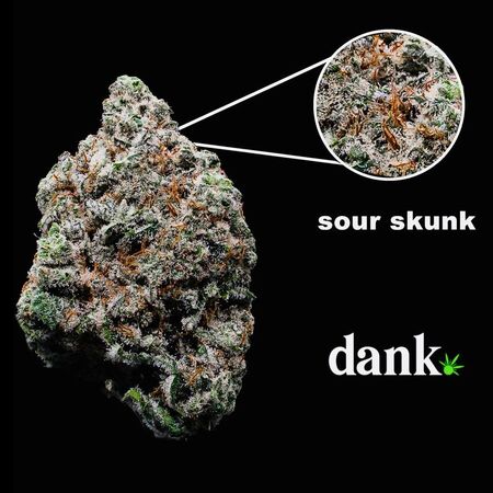 Sour Skunk 2.0 • NEW Re-Release!